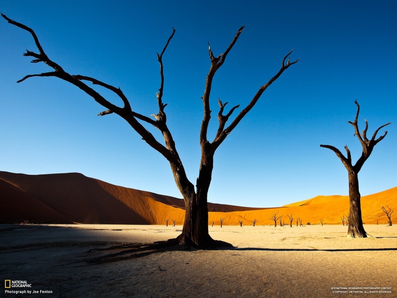 desert, 2010 (Year), Namibia, trees, National Geographic, landscape, 720P, Deadvlei, nature