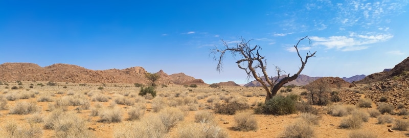 outdoors, environment, sunset, nature, 5K, canyon, dry, sand, arid climate, landscape, no people, desert, land, sky, daylight, tree, plant, blue, scenics - nature