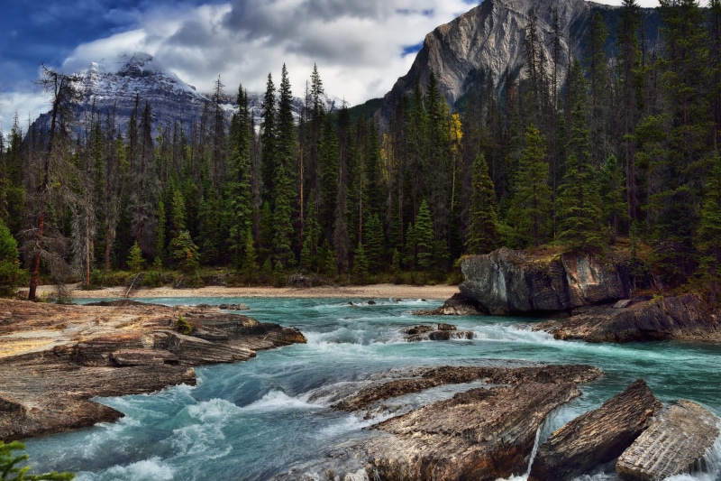 Falls  River, Mountains, waterfall, Canadian Rockies, Mount Stephen, outdoors, 5K, green, Mount Dennis, Yoho National Park, Canvas, Evergreens, Day, Lake Louise