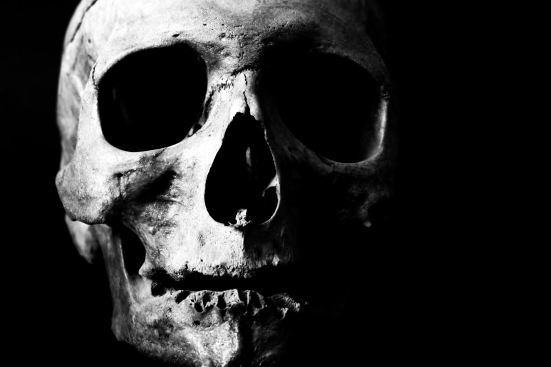 close-up, cranium, people, fear, death, anatomy, headshot, halloween, scary, dead, skull, man, black background, 5K, spooky, portrait, indoors, health
