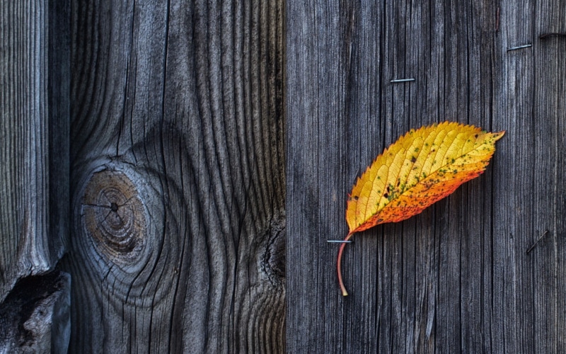 wooden, pattern, 1080P, texture, surface, fall, nature, leaves, wooden surface, wood
