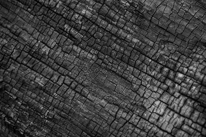 outdoors, animal, wood, extreme close-up, natural pattern, animal wildlife, wrinkled, backgrounds, no people, 5K, elephant, leather, textured, fire, animal skin