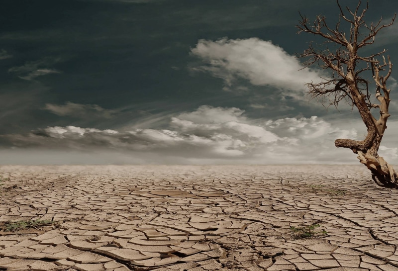desert, composing, 1080P, drought, clay, soil, dehydrated