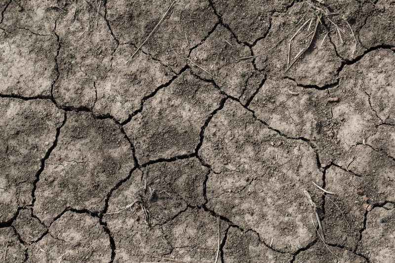 full frame, scenics - nature, dry, backgrounds, dirt, dead, 5K, cracked, textured, hot, ground, mud, dehydrated, dried, natural pattern, earth, abstract backgrounds