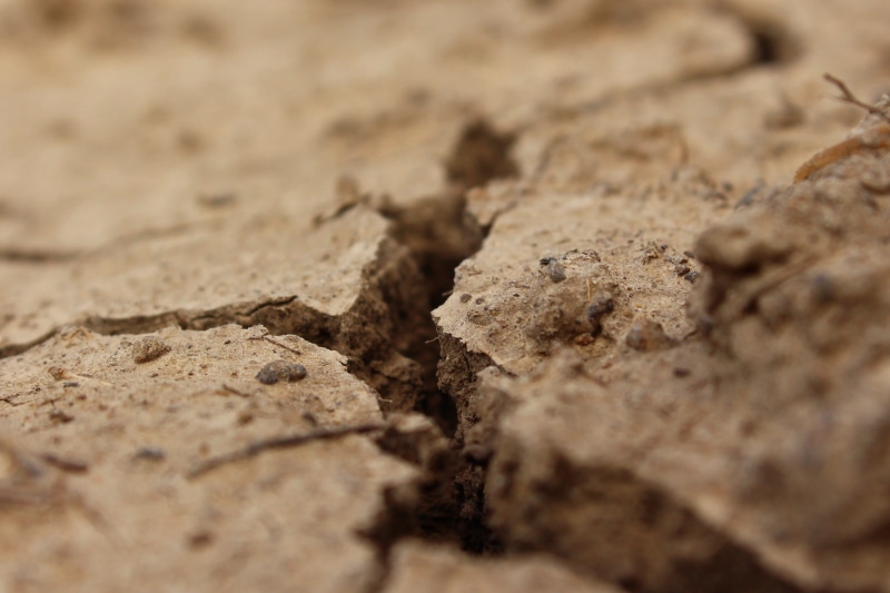 day, close-up, crack, bankrupt, road, textured, brown, surface, desert, 2K, cracked, divorce, backgrounds, clay, no People, food, outdoors, discord, baked