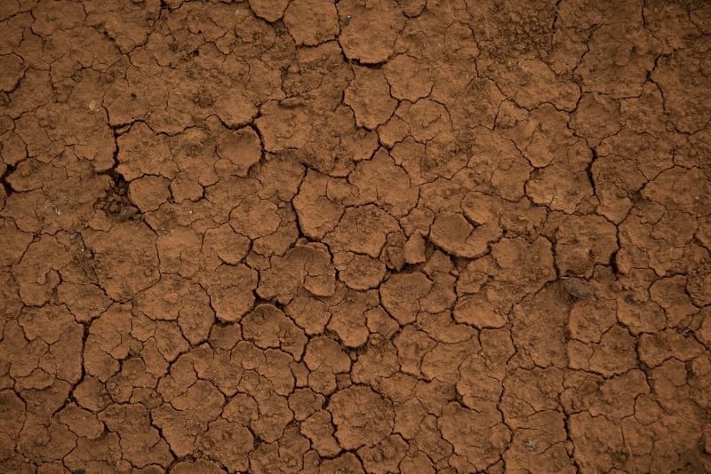 full frame, mud, extreme terrain, arid climate, brown, backgrounds, earth, detail, no people, dirt, summer, dried, climate, barren, surface level, scenics - nature