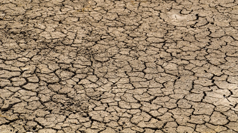 full frame, field, outdoors, natural pattern, 4K, drought, ground, backgrounds, nature, no people, earth, barren, lack of rain, land, arid climate, climate