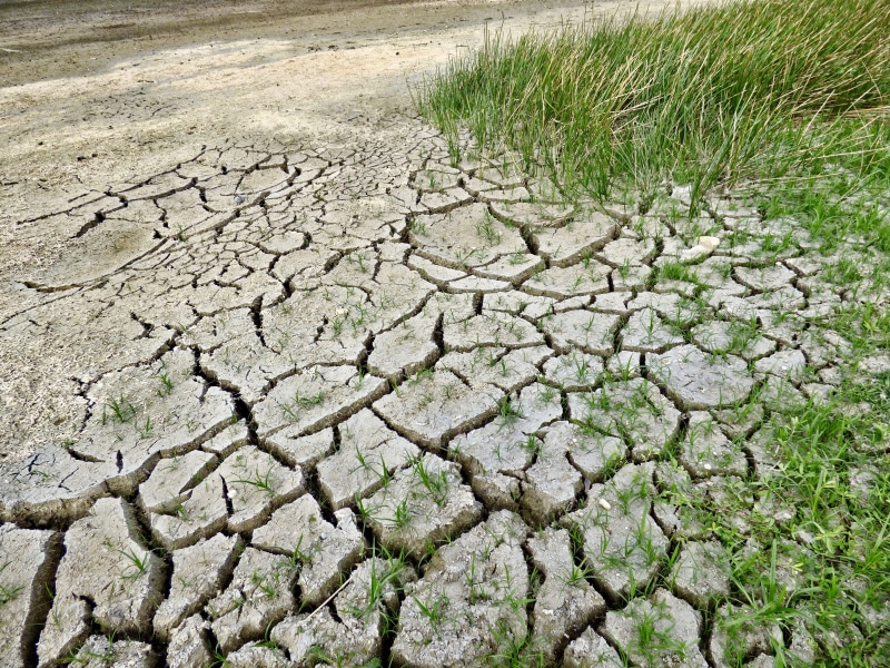 crack, natural, ground, lehigh acres, no people, land, green, heat, cracked, day, dirt, barren, disaster, arid, soil, climate change, dry, dirty, textured