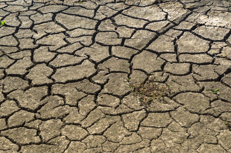 textured, day, full frame, Drought, brown, environment, footprints, heat - Temperature, broken, land, earth, nature, abstract, natural Disaster, close-up