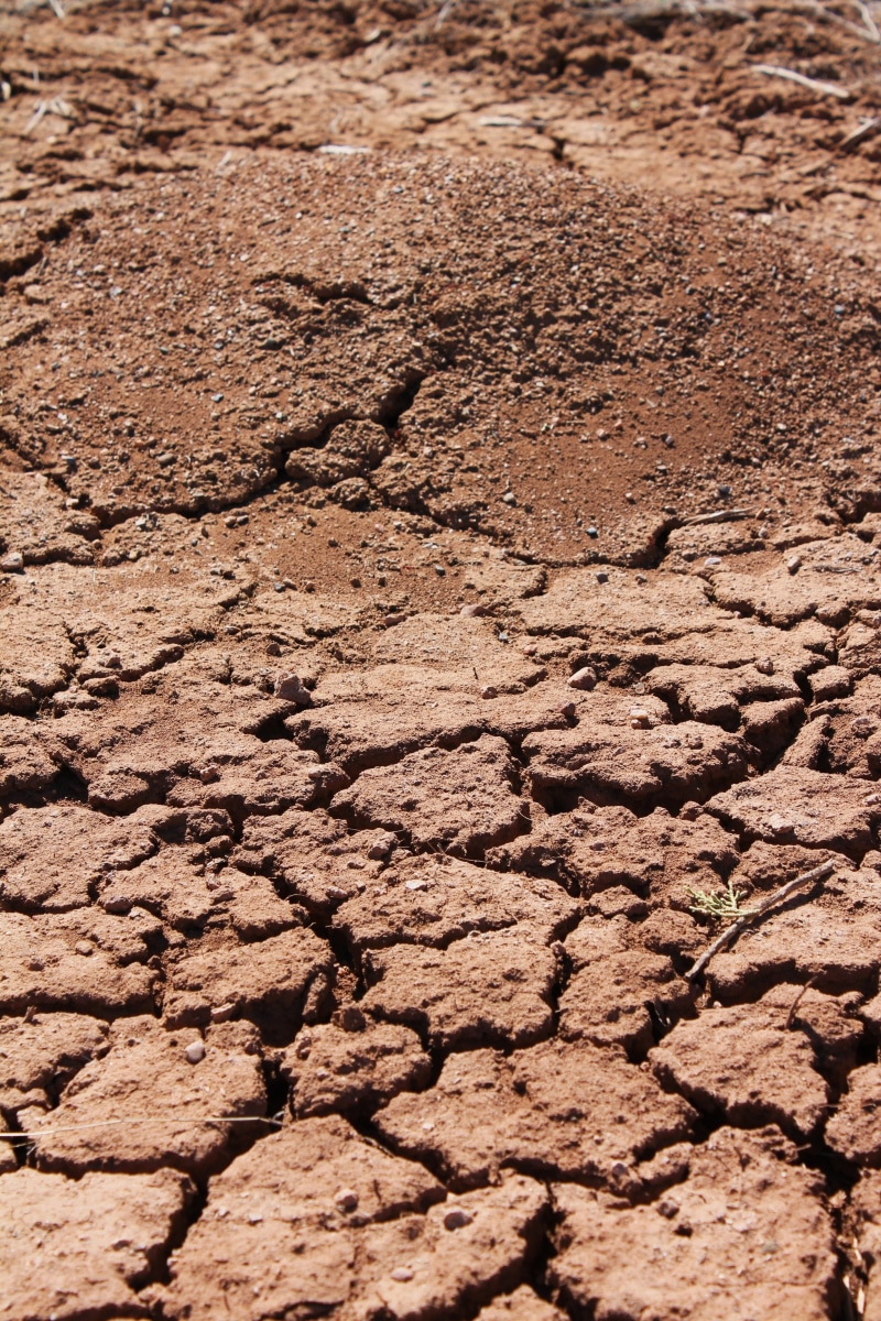full frame, environment, day, new mexico, field, brown, mud, cracked earth, amber avalona, textured, nature, red soil, tire, land, soil, ground, drought