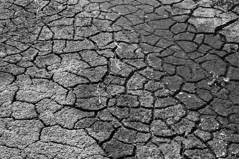 hunger, pavement, africa, full frame, soil, textured, drought, footprints, earth, cracked, backgrounds, famine, 5K, outdoors, photo, land, no people, cracks