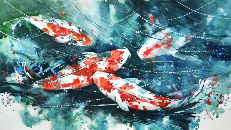 animal themes, animals in the wild, group of animals, underwater, close-up, backgrounds, school, swimming, painting, animal, transparent, marine, koi, nature