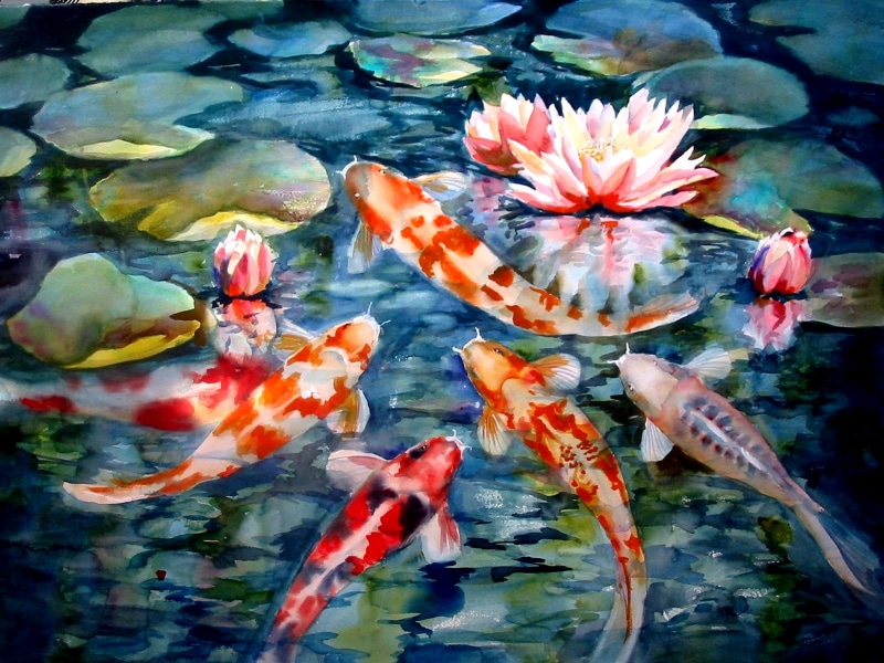 hd, fish, 720P, painting, digital/artwork, koi, assorted