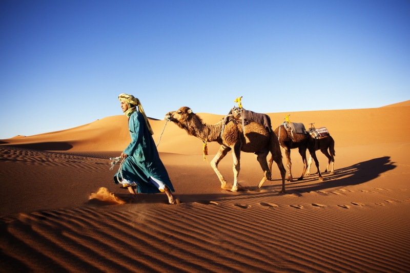 sand, 4K, men, camels, shadow, National Geographic, nature, animals, sand dunes, clear sky, sunlight, desert
