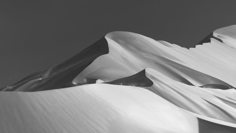 dune, fragility, close-up, environment, monochrome, day, outdoors, sand, no people, flag, white color, sunlight, wind, nature, black, white, landscape