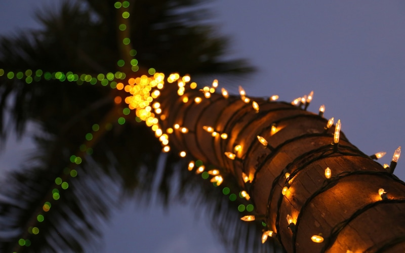 glowing, macro, celebration, selective focus, tree, blurred, nature, palm trees, no people, religion, close-up, lights, built structure, belief, 1080P