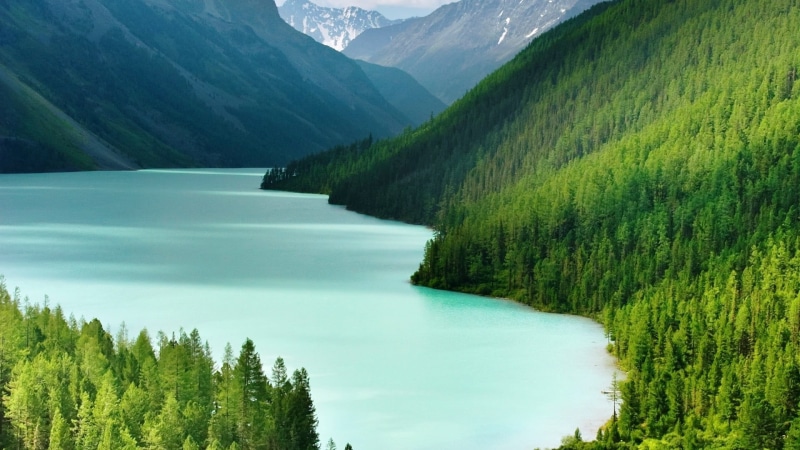 scenics - nature, pine woodland, photograph, tranquil scene, non-urban scene, mountain range, coniferous tree, plant, day, idyllic, outdoors, near, lake