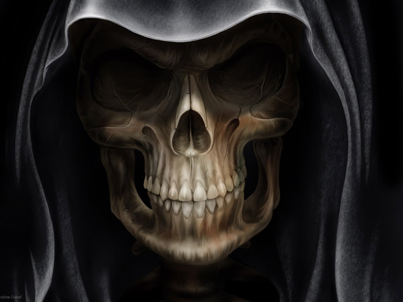 skeleton, human skull, human body part, people, 720P, front view, Grim Reaper, body part, creativity, close-up, bone, indoors, skull, black background