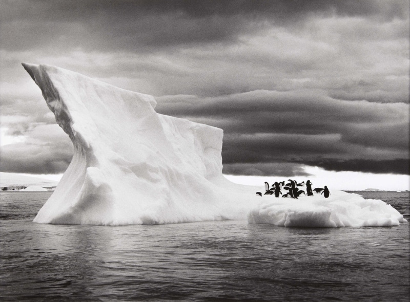 clouds, penguins, nature, photography, animals, sea, ice, 720P, monochrome, landscape, iceberg, Sebastiao Salgado, Antarctica