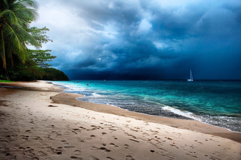 seashore, sailboat, Malaysia, nautical vessel, tranquility, sand, sea, palm, tree, clouds, storm, sky, horizon over water, 720P, sailboats, outdoors, scenics - nature