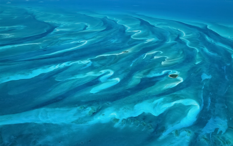 animals in the wild, swimming, fish, group of animals, 2K, blue, underwater, vertebrate, island, sea life, day, sea, aerial view, animal wildlife, turquoise colored