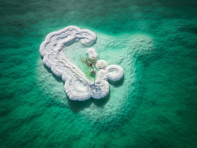trees, dead trees, Pacific Ocean, island, salt, alone, sea, 1080P, aerial view