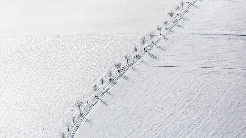 no people, land, built structure, simple, dead trees, 1080P, full frame, white, monochrome, concrete, high angle view, aerial view, connection, nature
