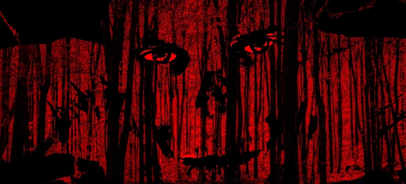 hanging, isolated, pine, curtain, homo sapiens, fear, full frame, close-up, human, celebration, devil, textured, event, forest, wood, nightlife