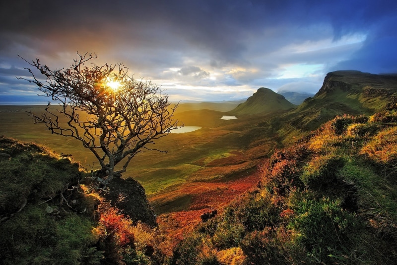 plant, graphic, cloud - sky, scenics - nature, tranquility, tree, landscape, valley, dead trees, lake, shrubs, growth, Scotland, non-urban scene