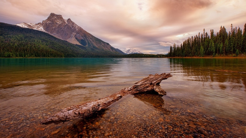 tranquil scene, environment, nature, trees, cloud - sky, mountain peak, mountain, brown, tree, reflection, no people, clouds, sky, stones, scenics - nature