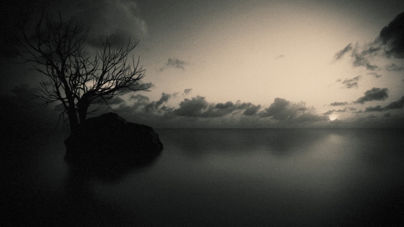 tranquil scene, dusk, cloud - sky, 2K, nature, horizon, noise, clouds, outdoors, plant, waterfront, no people, idyllic, reflection, silhouette, tranquility