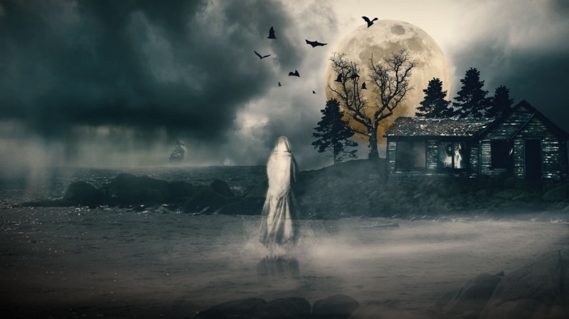 animals in the wild, house, 720P, digital composite, character, animal wildlife, flying, clouds, Moon, animal themes, architecture, landscape, power in nature