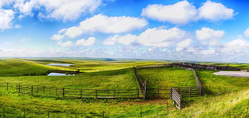 blue sky, field, hills, summer, Patrick, scenics, white, hill, rural Scene, outdoors, Panorama, meadow, blue, landscape, flint, daytime, green, Flint Hills