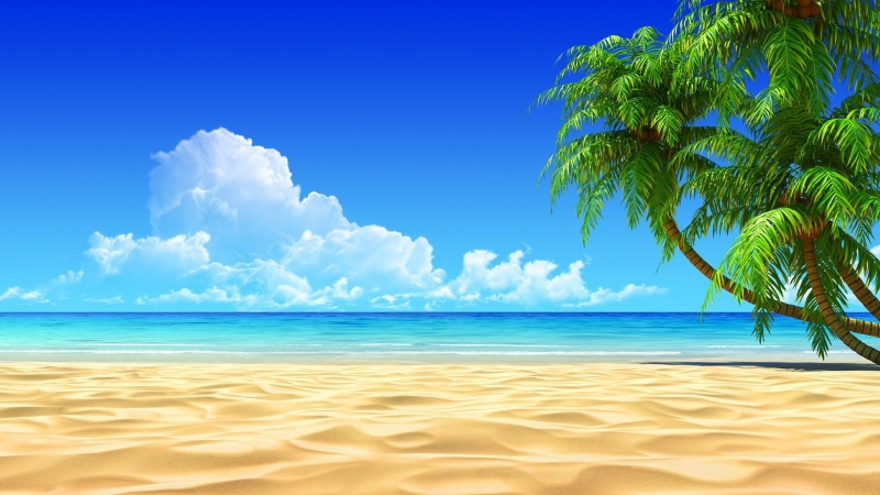 palm trees, palm, sand, 720P, beach, sky, landscape, clouds, trees