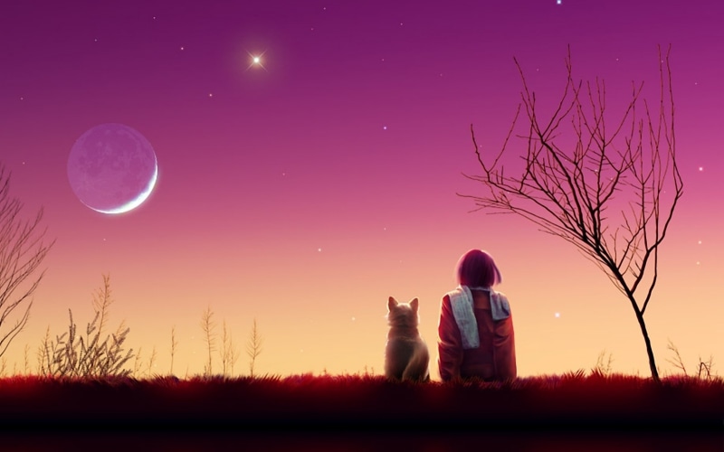 nature, 4K, sunset, cat, kagaya moon, anime backgrounds, girl