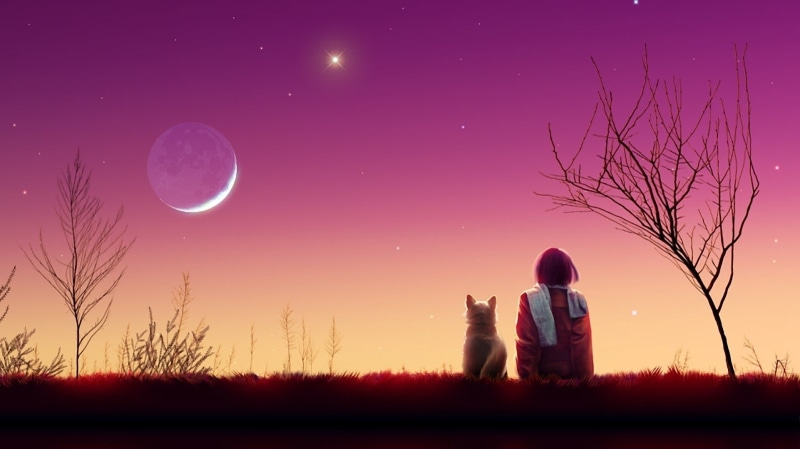 tree, rear view, people, sky, adult, women, plant, outdoors, Cat, moon, 1080P, space, togetherness, two people, men, star - space, Kagaya moon, Sunset