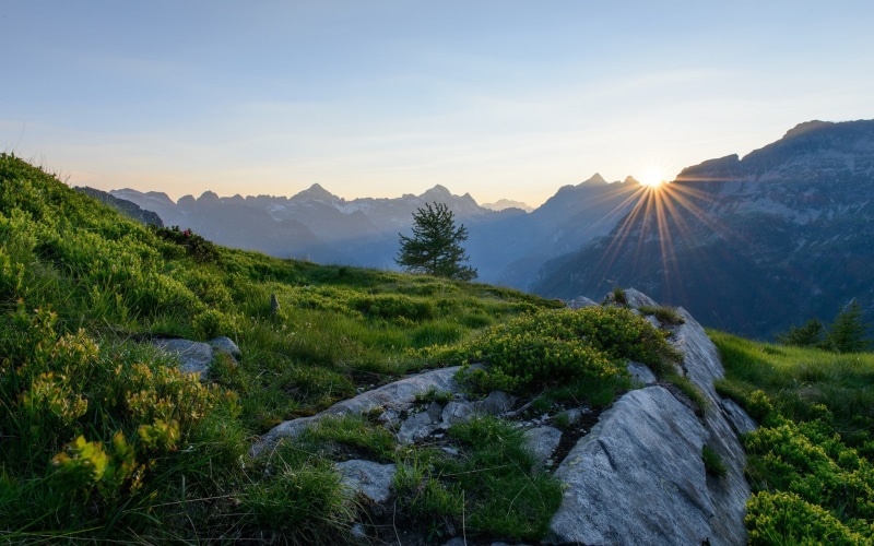 green, sunset, Dawn, 1080P, Switzerland, Sunrise, Alps, grasses, Mountains, view