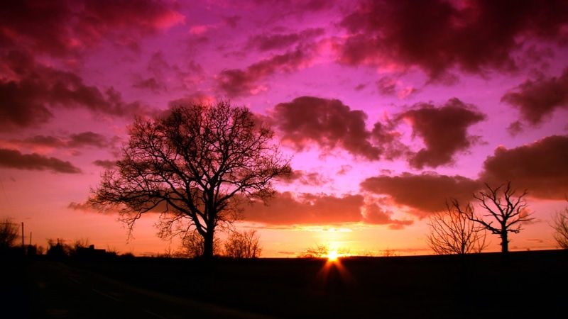cloud, sky, sunrise, pink sky, tree, 1080P, good morning, silhouette, dawn, pink sunrise