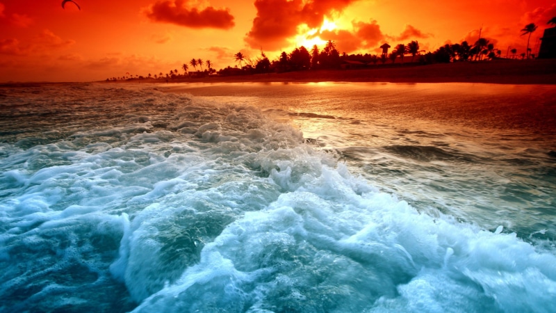 wind wave, power in nature, seashore, water, tranquil scene, motion, photography, nature, horizon, sunset, beach, outdoors, wave, sport, shore, coast, beauty in nature