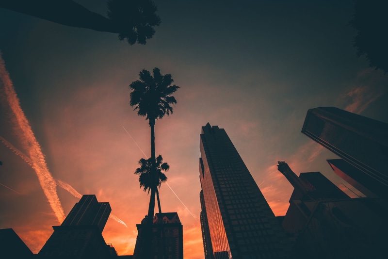 urban Skyline, night, sun, sunlight, downtown District, tropical climate, architecture, cloud - Sky, silhouette, back Lit, office building exterior, orange color