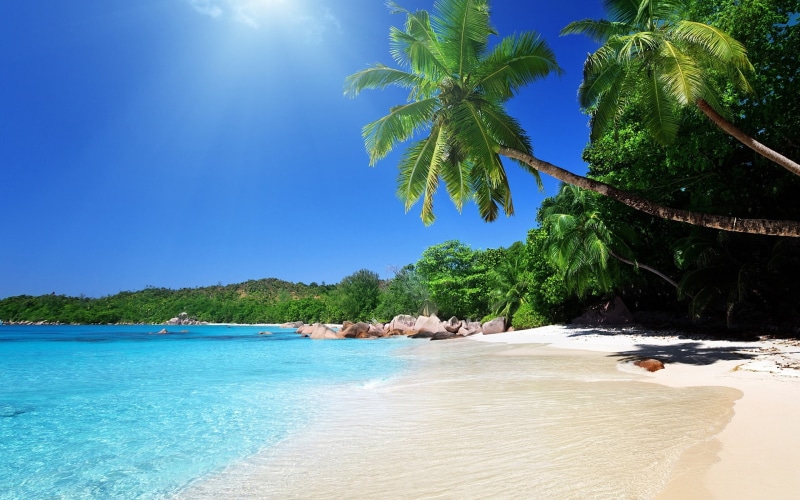 tumblr, 2K, beach, summer