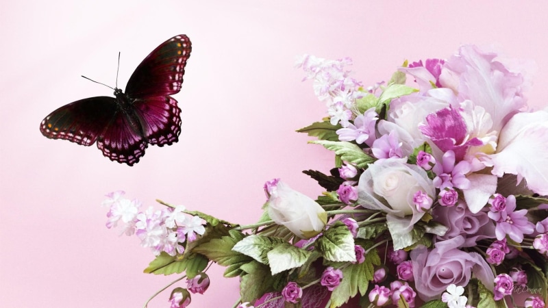 iris, summer, enchantment, 3d and abstract, bouquet, flowers, butterfly, rose, 1080P, firefox persona, lilacs, white, pink