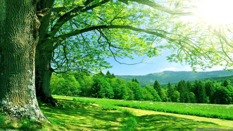 2560x1440, 2K, desktop, Summer, images, wall8, nature, Cool