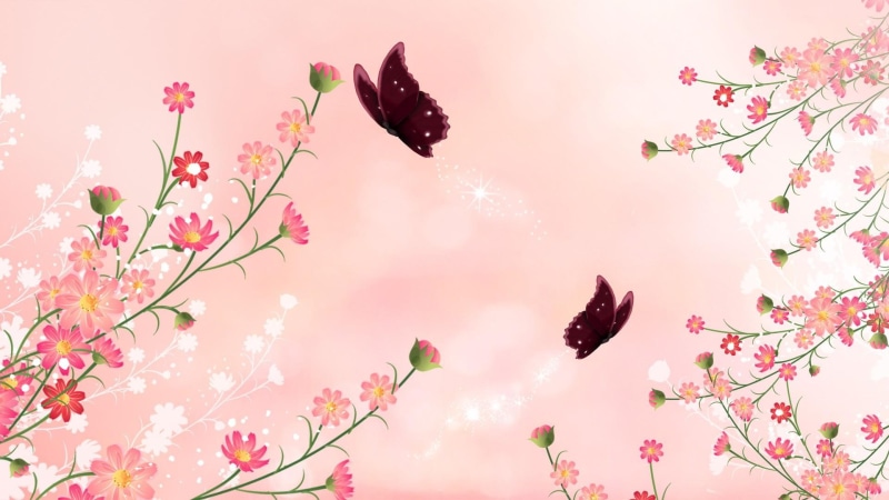 butterfly, 3d and ab, wild flowers, butterflies, summer, pink, 1080P, spring, firefox persona, color, light, abstract