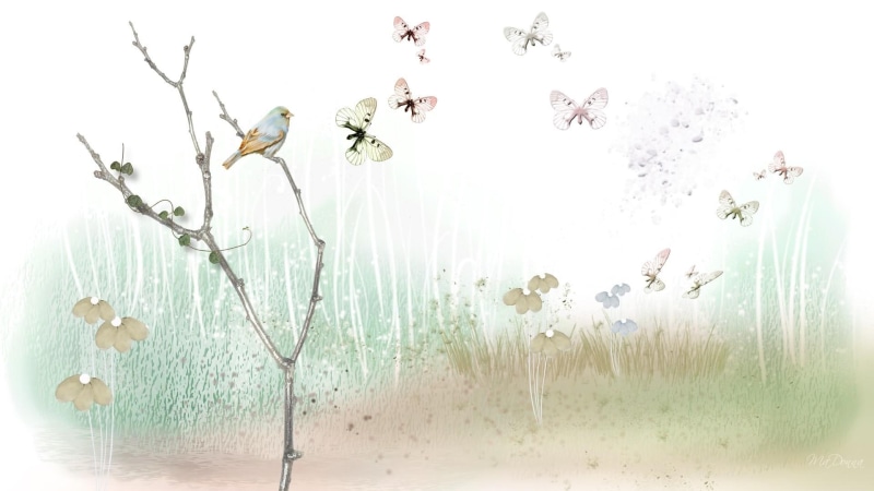 grass, world, firefox persona, flowers, butterflies, field, 3d and abstract, light, summer, 1080P, soft, bird