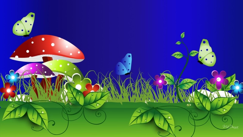 bright, mushrooms, colorful, grass, beautiful, butterflies, spring, nature and landsc, toadstools, summer, 1080P, flowers