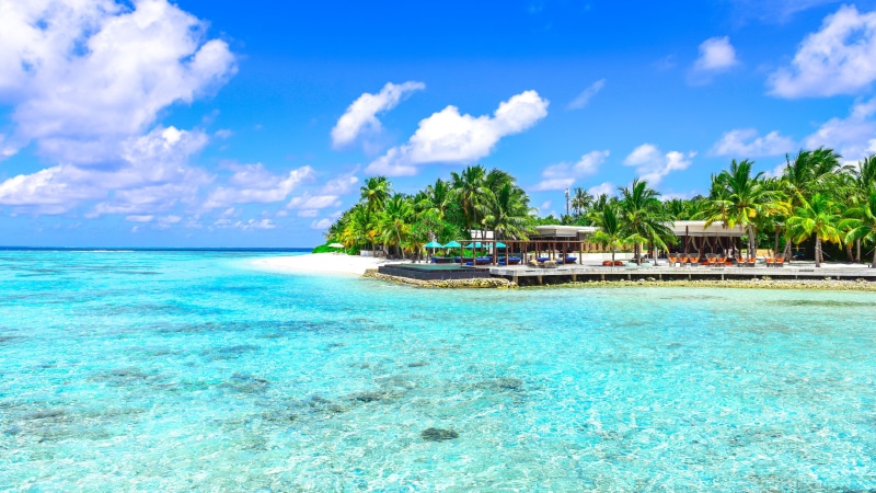 bay, turquoise, blue sea, ocean, palms, lagoon, scenery, tropical landscape, shore, 4K, azure, vacation, summertime, sea, summer landscape, tropical, photography