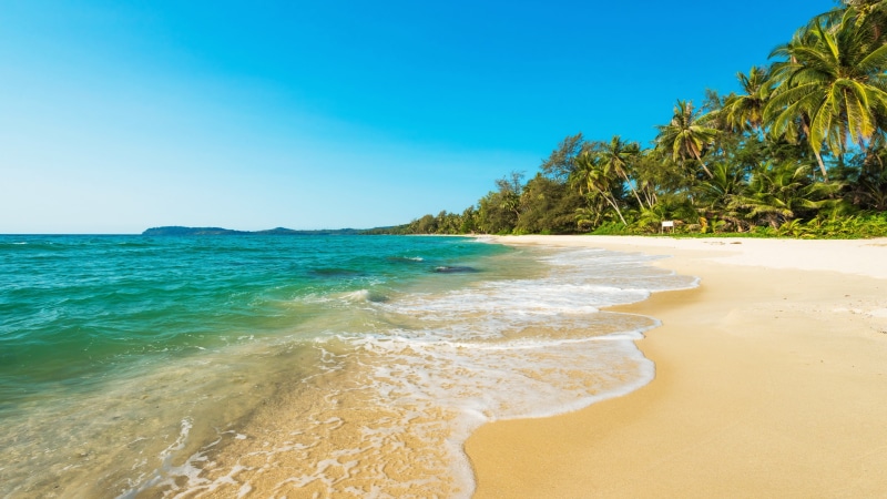 shore, sea, palms, sandy beach, 4K, summer, blue sky, summertime, beach