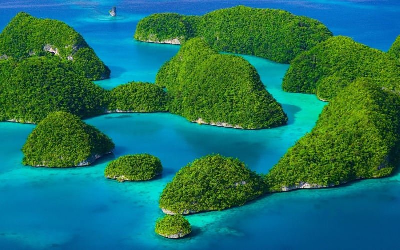 growth, 1080P, plant, scenics - nature, forest, sky, tree, landscape, turquoise, Indonesia, water, tranquility, lush foliage, outdoors, no people, tropical