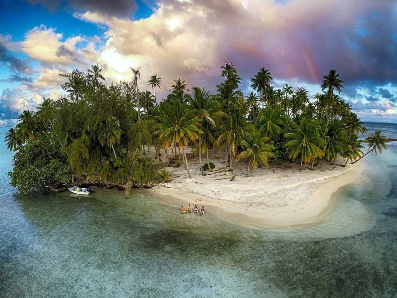 landscape, tree, tranquility, idyllic, trees, 1080P, palm trees, tropical tree, scenics - nature, island, water, beach, beauty in nature, palm tree, photography
